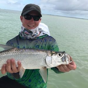 Meet your Posher, Andrew